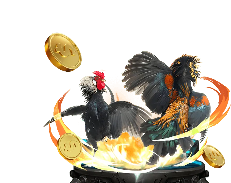 Đá gà trực tiếp qq88